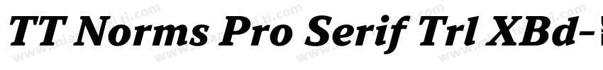 TT Norms Pro Serif Trl XBd字体转换